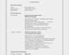 Cv In English Vorlage Genial Cv Vorlage