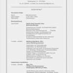 Cv In English Vorlage Genial Cv Vorlage