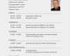 Cv In English Vorlage Gut English Essay Beispiel Lebenslauf Power Point Help How