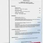 Cv In English Vorlage Luxus Lebenslauf Englisch
