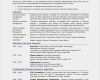 Cv In English Vorlage Süß 13 Cv In English Vorlage