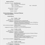 Cv In English Vorlage Wunderbar Cv Europass Vorlage