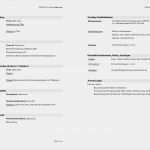 Cv Vorlage Kostenlos Cool Lebenslauf Vorlagen Headhunter100