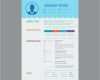 Cv Vorlage Kostenlos Elegant Cv Vorlage Mit Infografischen Daten