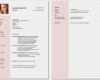 Cv Vorlage Word Erstaunlich Cv Vorlage Word Neu Cv Vorlage Schweiz Word 100