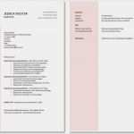 Cv Vorlage Word Erstaunlich Cv Vorlage Word Neu Cv Vorlage Schweiz Word 100