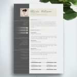 Cv Vorlage Word Genial Die 25 Besten Ideen Zu Lebenslauf Auf Pinterest