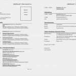 Cv Vorlage Word Wunderbar Lebenslauf Vorlagen Headhunter100