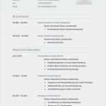 Cv Vorlagen Gratis Erstaunlich Die Besten 25 Bewerbungsvorlagen Muster Ideen Auf