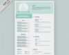 Cv Vorlagen Gratis Inspiration Plantilla De Cv Con Detalles Verdes