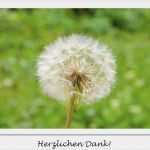 Dankeskarten Geburtstag Vorlagen Kostenlos Beste Dankeskarten Ausdrucken Kostenlos En Für Private