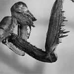 Datenschutz Google Analytics Vorlage Wunderbar Google Analytics Datenschutz Eine Anleitung