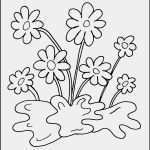 Datenschutz Vorlagen Kostenlos Luxus Kostenloses Fensterbild Von Blumen Window Color Bild