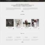 Datenschutzerklärung Für Fotografen Vorlage Erstaunlich Website Vorlage Für Fotografen Portfolio