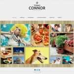 Datenschutzerklärung Für Fotografen Vorlage Wunderbar Joomla Vorlage Für Fotografen Portfolio