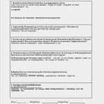 Datev Kassenbuch Vorlage Pdf Erstaunlich Datev Vorlage Zur Dokumentation Der Täglichen Arbeitszeit