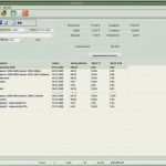 Datev Kassenbuch Vorlage Pdf Wunderbar Datev Abrechnung Der Brutto Netto Bezüge Download Datev
