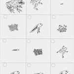 Daumenkino Vorlagen Zum Ausdrucken Kostenlos Erstaunlich Mikapanteleon Pawakomastonhpiagwgeio Ένας βάτραχος στην