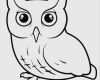 Daumenkino Vorlagen Zum Ausdrucken Kostenlos Neu Daumenkino Vorlagen Zum Ausdrucken Kostenlos Beste Eule 11