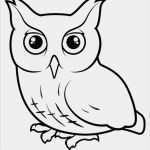 Daumenkino Vorlagen Zum Ausdrucken Kostenlos Neu Eule Malvorlagen Pinterest – Vorlagen 365
