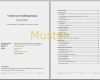 Deckblatt Businessplan Vorlage Erstaunlich Autovermietung Businessplan Vorlage
