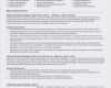 Deckblatt Businessplan Vorlage Luxus Inspirierende Businessplan Deckblatt
