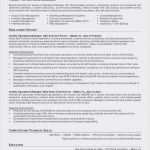 Deckblatt Businessplan Vorlage Luxus Inspirierende Businessplan Deckblatt