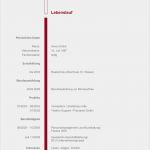 Deckblatt Vorlage Bewerbung Gut 21 Musterbewerbungsschreiben Als Wordvorlage