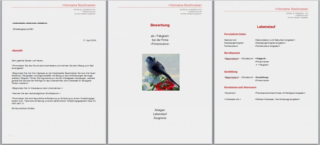 Deckblatt Vorlage Word Kostenlos Best Of Bewerbungsvorlagen Word 2010