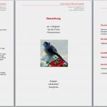 Deckblatt Vorlage Word Kostenlos Best Of Bewerbungsvorlagen Word 2010
