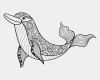 Delphin Tattoos Vorlagen Elegant Zentangle Vector Sea Dolphin for Adult Anti Stress