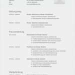 Design Lebenslauf Vorlage Elegant Lebenslauf Muster Für Informatiker