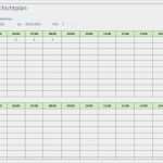 Dienstplan Blanko Vorlage Luxus Lohnabrechnung Minijob formular Kostenlos Beispiel