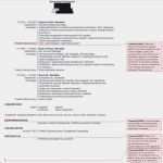 Din 5008 Vorlage Word Bewerbung Cool 32 Genial Bewerbung Als Lkw Fahrer Yayaconnection