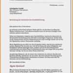 Dm Bewerbung Vorlage Angenehm 15 Bewerbungsschreiben Dm