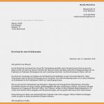Dm Bewerbung Vorlage Süß 6 7 Dm Bewerbung Ausbildung