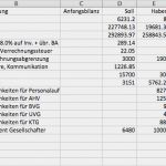 Doppelte Buchhaltung Excel Vorlage Kostenlos Genial Input Tab