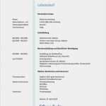 Download Lebenslauf Vorlage Fabelhaft Kreative Bewerbung Schreiben Bei Freeware Download