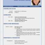Download Lebenslauf Vorlage Fabelhaft Lebenslaufvorlage Gratis Download