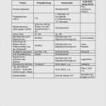 Drehbuch Vorlage Pdf Gut 17 Drehbuch Schreiben Muster