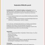 Drehbuch Vorlage Pdf Wunderbar 17 Drehbuch Schreiben Muster