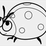 Drehbuch Vorlage Pdf Wunderbar atemberaubend Druckbare Piratenschiff Malvorlagen