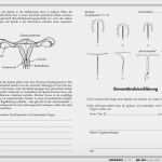 Dsgvo Einzelunternehmer Vorlage Erstaunlich Einverständniserklärung Fotos Veröffentlichen Muster &jh15