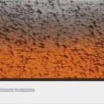 Dvd Hülle Vorlage Inspiration Slim Cover Für Adobe Shop Cd Cover Dvd Slim Vorlage