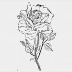 Dxf Vorlagen Download Kostenlos Schön Rose Das Download Portal Für Dxf Dwg Dateien