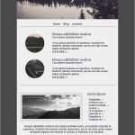 E Mail Newsletter Vorlage Luxus Best 25 Email Newsletters Ideas On Pinterest