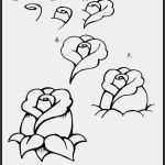 Eac Zeichen Vorlage Erstaunlich Desenhos Passo A Passo Para Iniciantes