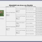 Ebay Vorlage Erstellen software Süß Hunde Welpen Verkaufen Inkl Ahnentafel Kaufvertrag