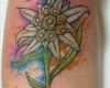 Edelweiss Tattoo Vorlage Bewundernswert 10 Best Images About Tattoos On Pinterest