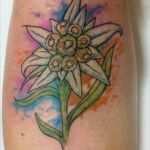 Edelweiss Tattoo Vorlage Bewundernswert 10 Best Images About Tattoos On Pinterest